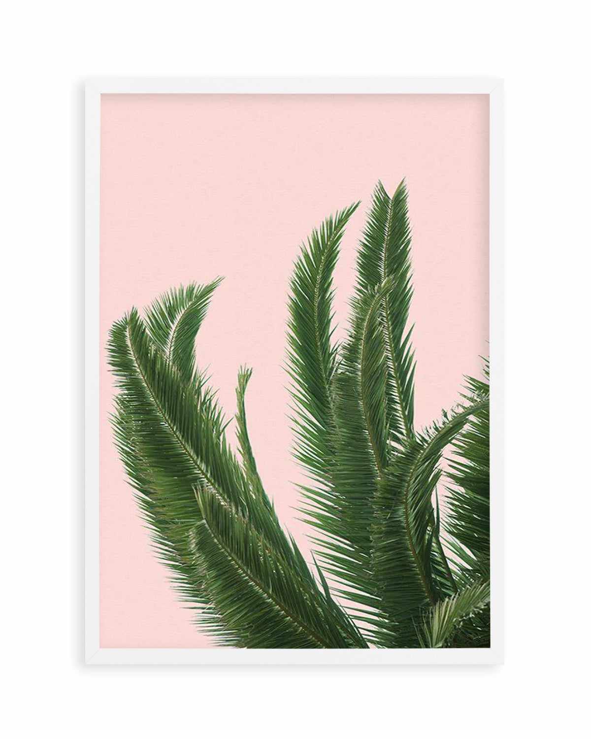 Palms on Pink   Art Print