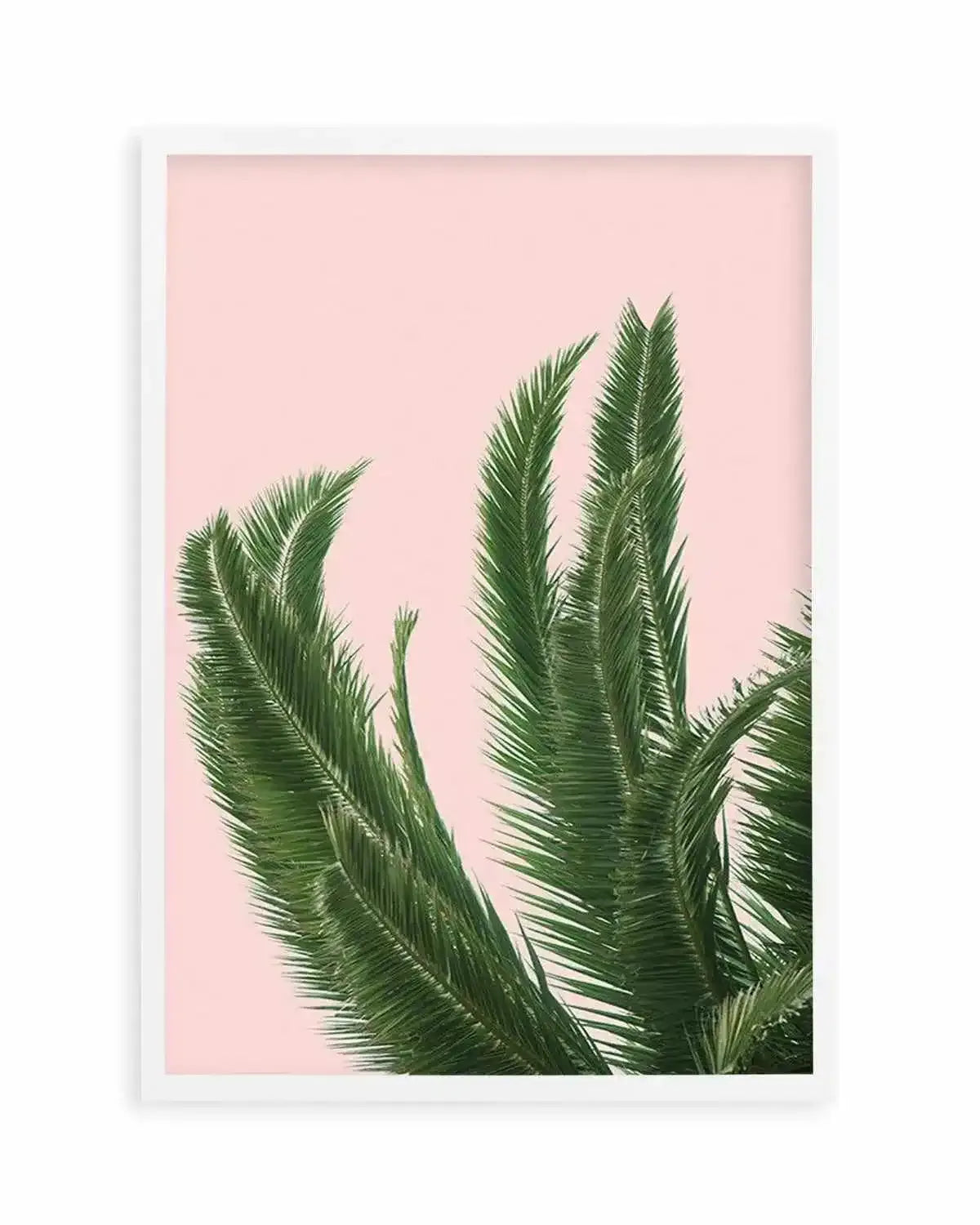 Palms on Pink Art Print from Olive et Oriel where you can shop wallpaper and artworks online