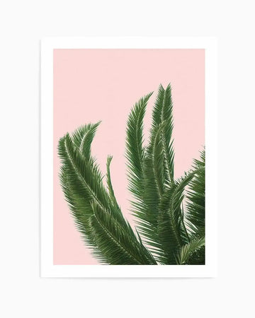Palms on Pink   Art Print art print, framed