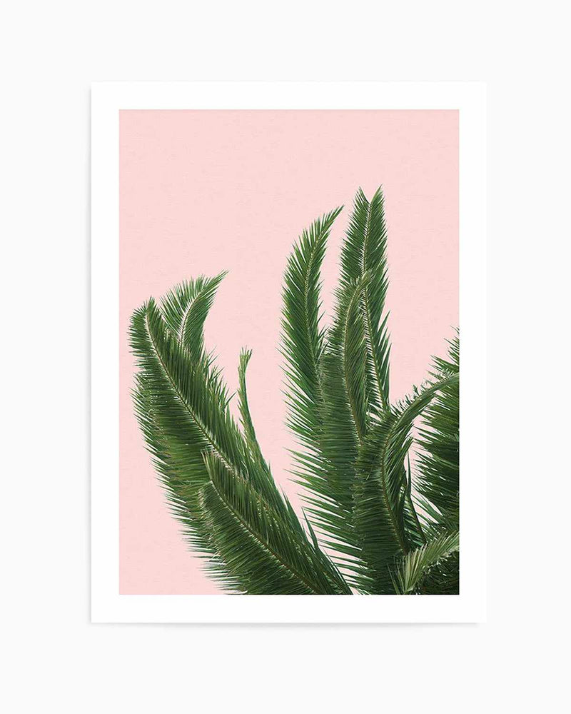 Palms on Pink   Art Print