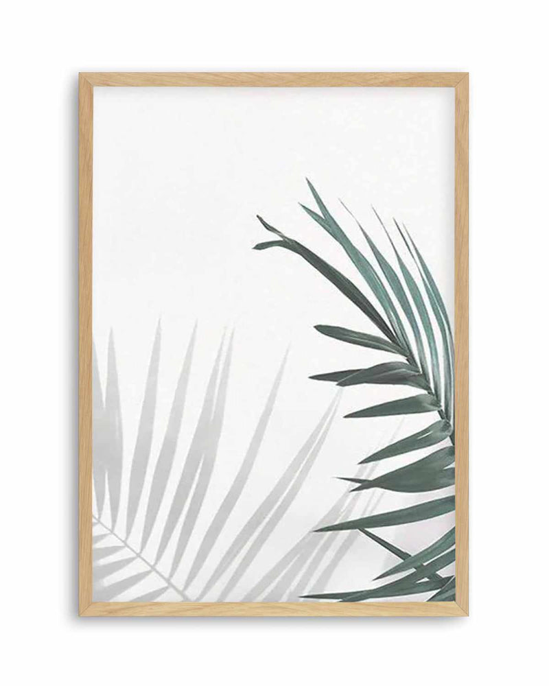 Palmy Day Art Print