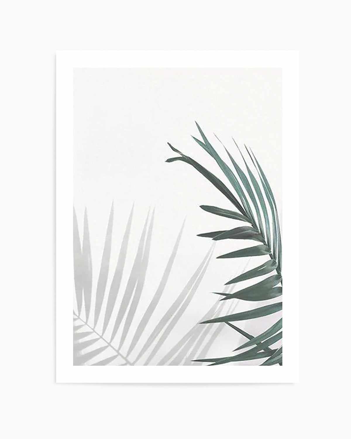 Palmy Day Art Print