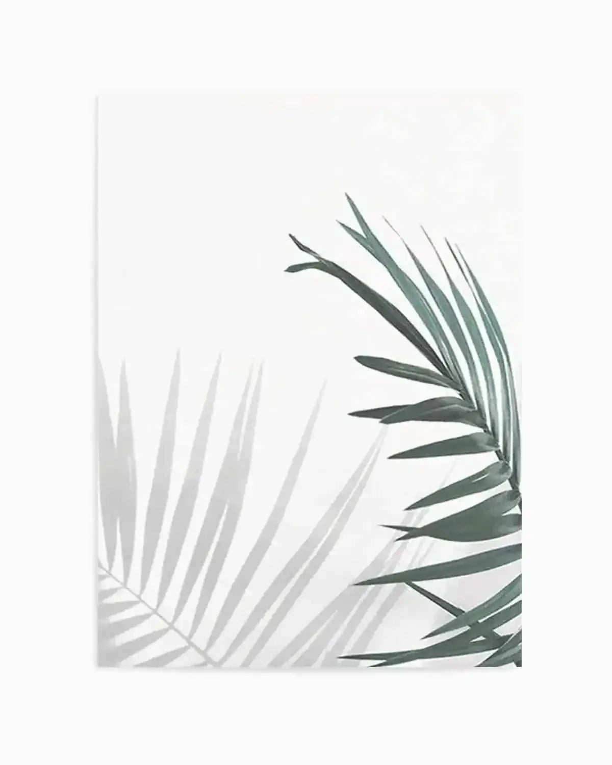 Palmy Day Art Print from Olive et Oriel where you can shop wallpaper and artworks online