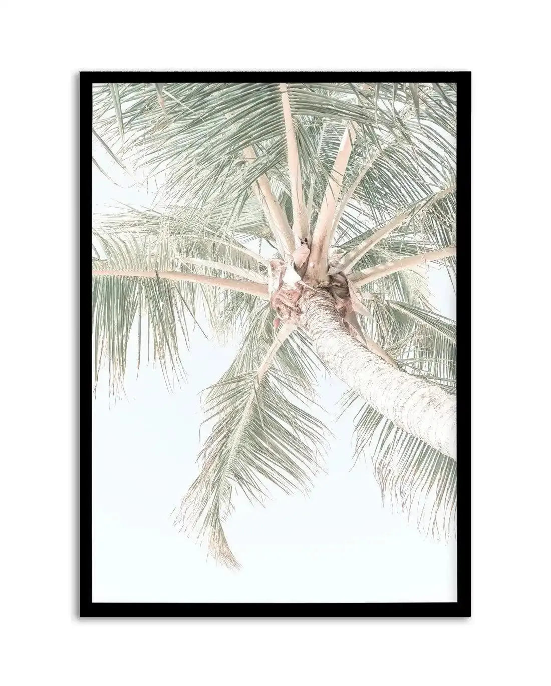 Palmy Days | Noosa Art Print-PRINT-Olive et Oriel-Olive et Oriel-A4 | 8.3" x 11.7" | 21 x 29.7cm-Black-With White Border-Buy-Australian-Art-Prints-Online-with-Olive-et-Oriel-Your-Artwork-Specialists-Austrailia-Decorate-With-Coastal-Photo-Wall-Art-Prints-From-Our-Beach-House-Artwork-Collection-Fine-Poster-and-Framed-Artwork