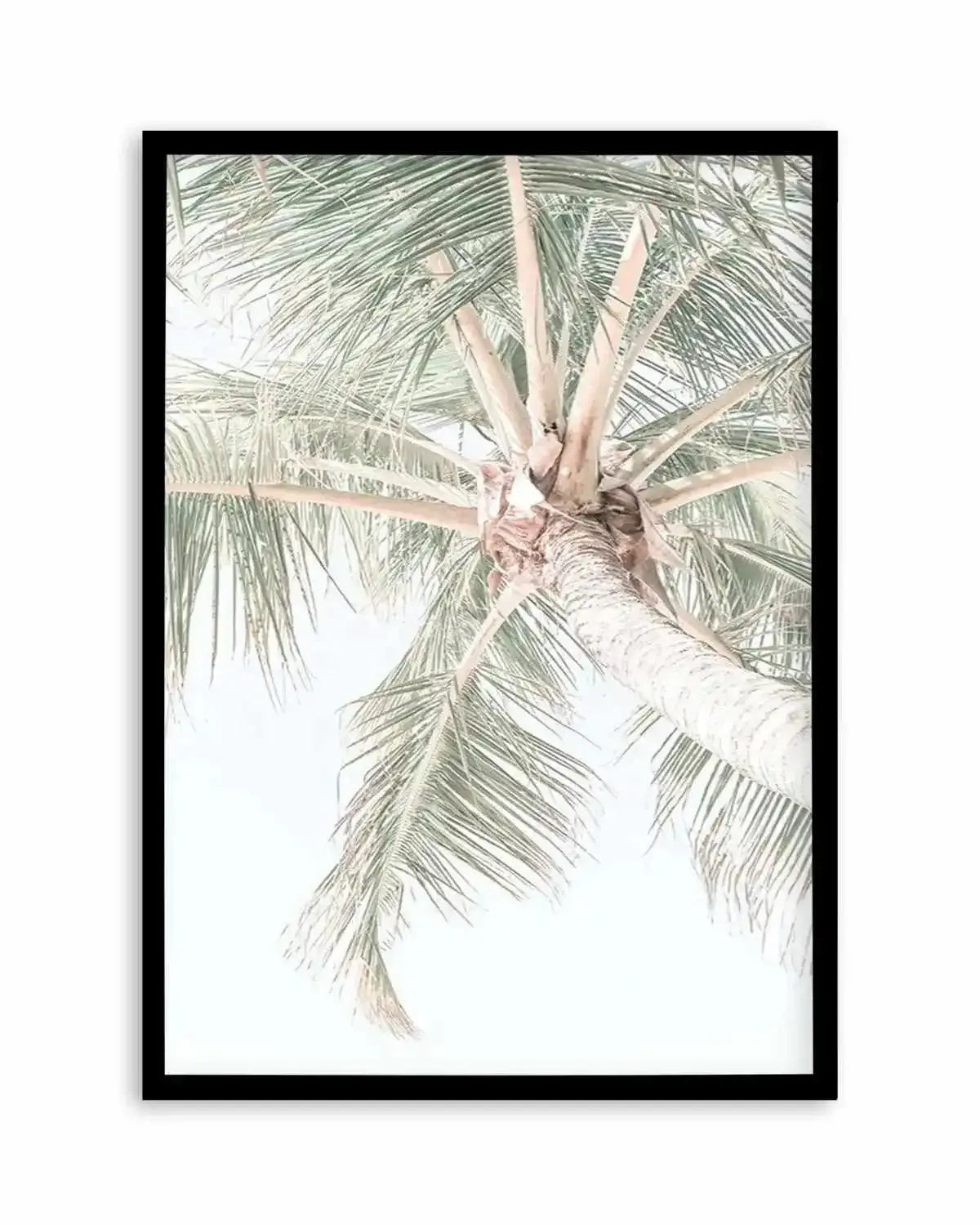 Palmy Days | Noosa Art Print from Olive et Oriel where you can shop wallpaper and artworks online