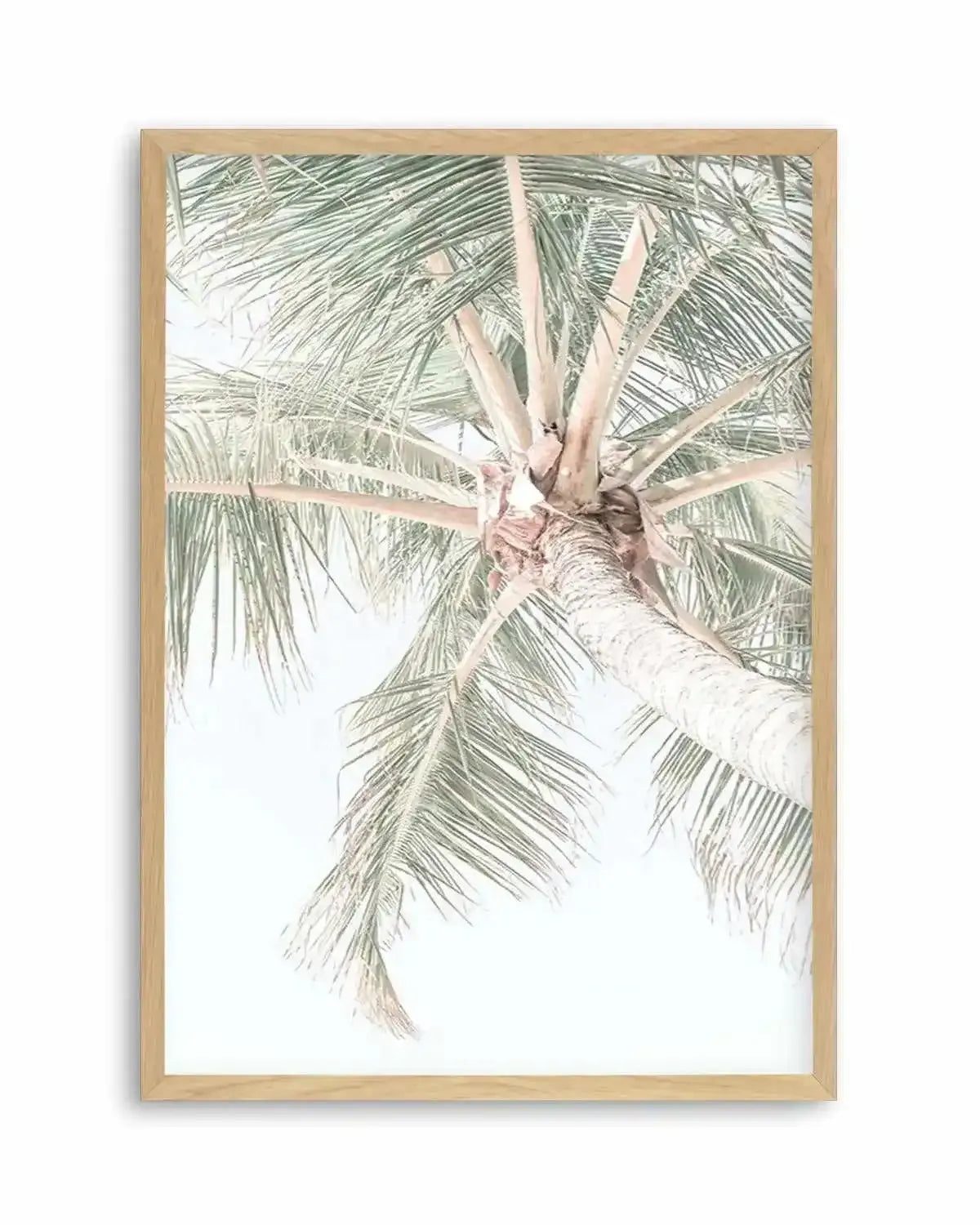 Palmy Days | Noosa Art Print from Olive et Oriel where you can shop wallpaper and artworks online