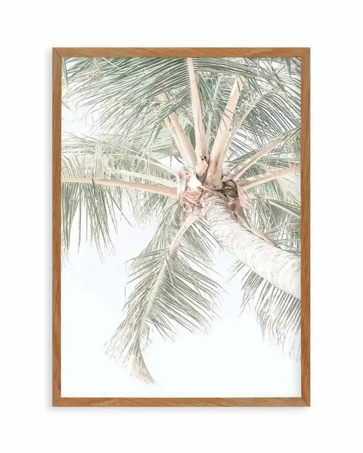 Palmy Days | Noosa Art Print from Olive et Oriel where you can shop wallpaper and artworks online