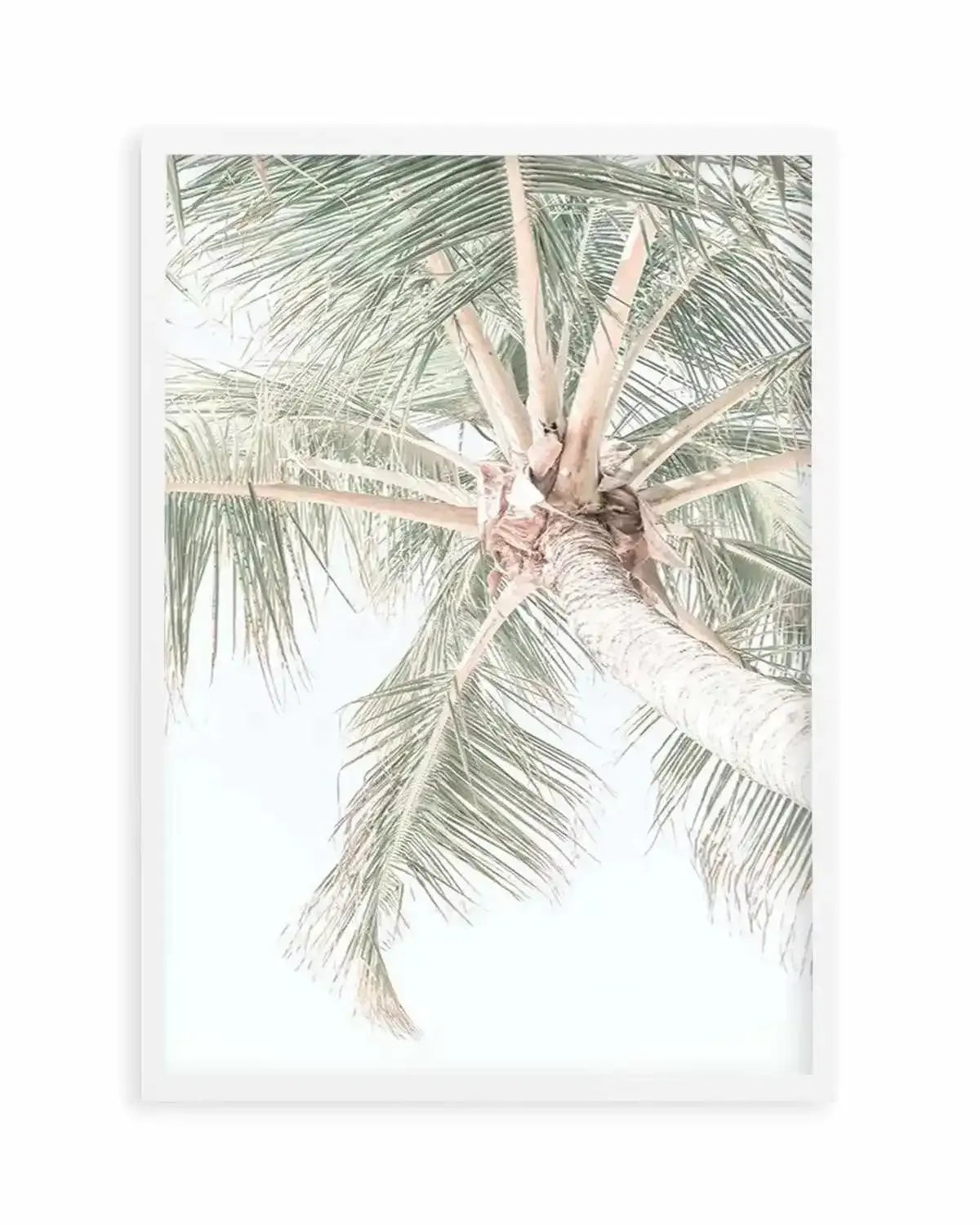 Palmy Days | Noosa Art Print from Olive et Oriel where you can shop wallpaper and artworks online
