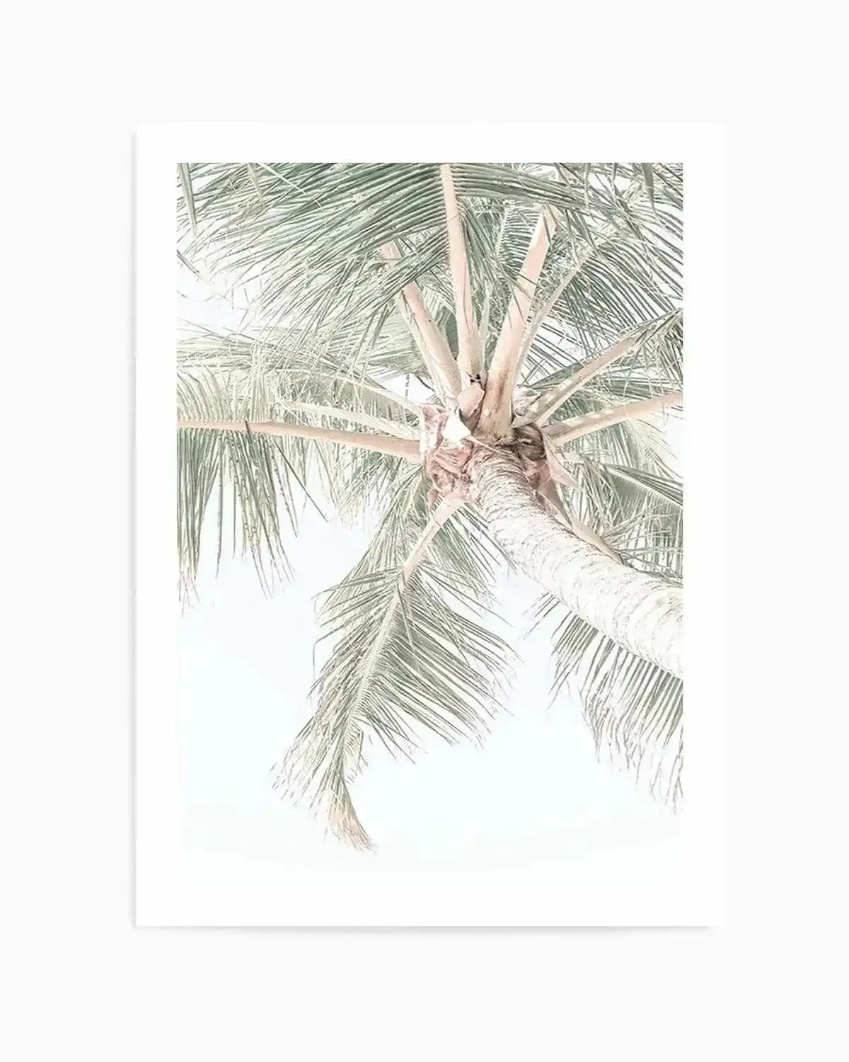 Palmy Days | Noosa Art Print from Olive et Oriel where you can shop wallpaper and artworks online
