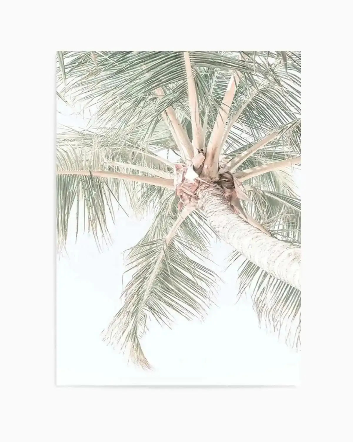 Palmy Days | Noosa Art Print from Olive et Oriel where you can shop wallpaper and artworks online