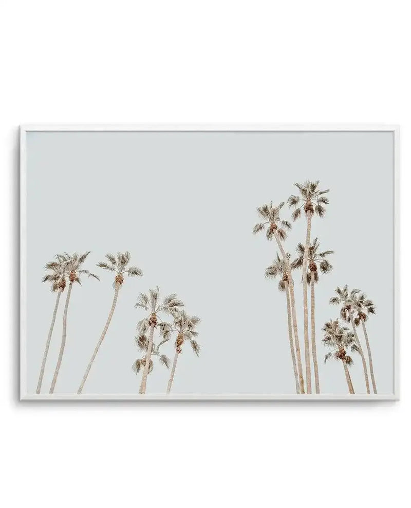 Framed photography art print featuring a minimalist composition of palm trees against a pale grey-blue sky, with a white frame and white border. The palm trees have slender trunks and feathery fronds in muted tones of beige and light brown, casting soft shadows.
