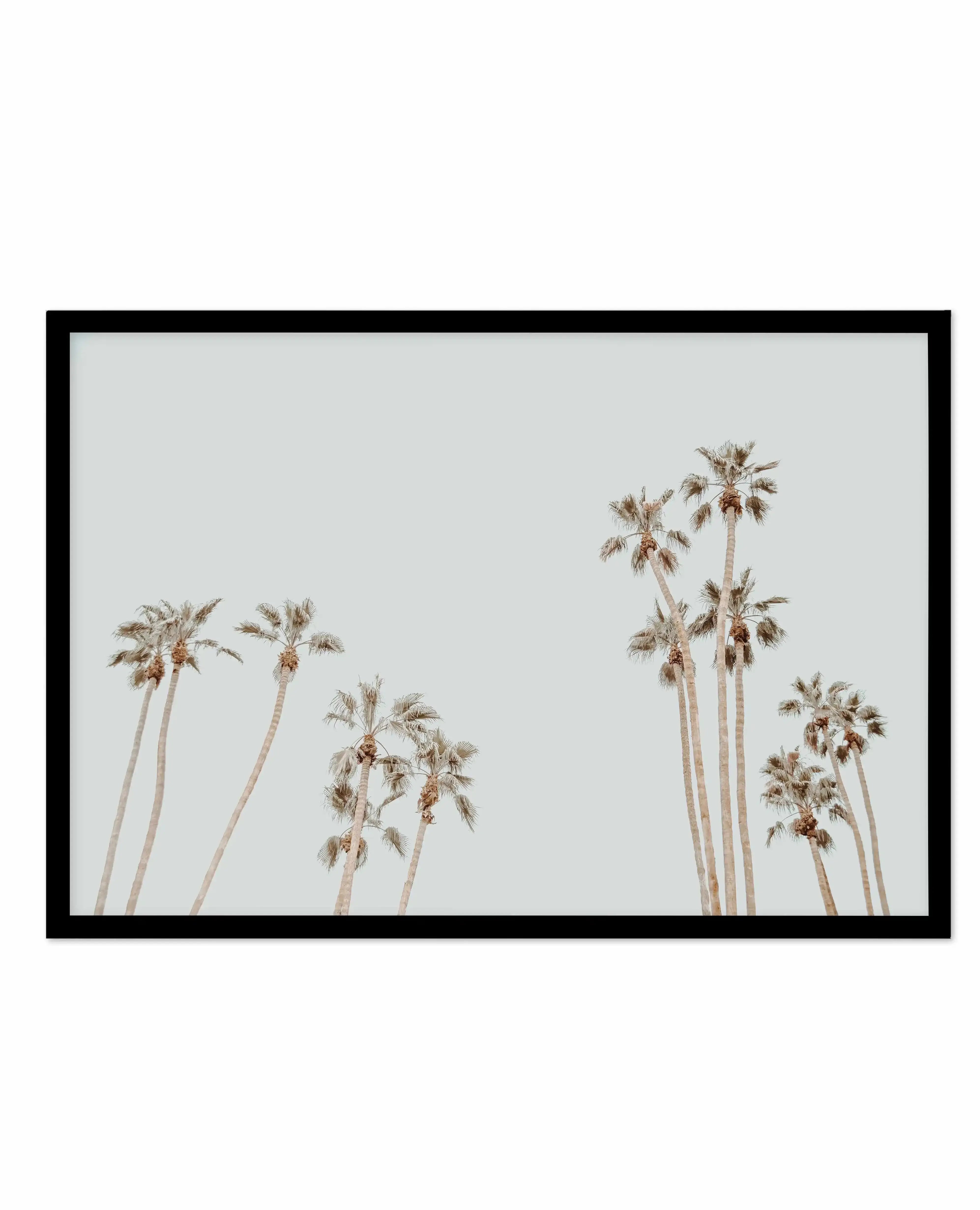 Palmy Springs | LS Art Print-PRINT-Olive et Oriel-Olive et Oriel-A4 | 8.3" x 11.7" | 21 x 29.7cm-Black-With White Border-Buy-Australian-Art-Prints-Online-with-Olive-et-Oriel-Your-Artwork-Specialists-Austrailia-Decorate-With-Coastal-Photo-Wall-Art-Prints-From-Our-Beach-House-Artwork-Collection-Fine-Poster-and-Framed-Artwork
