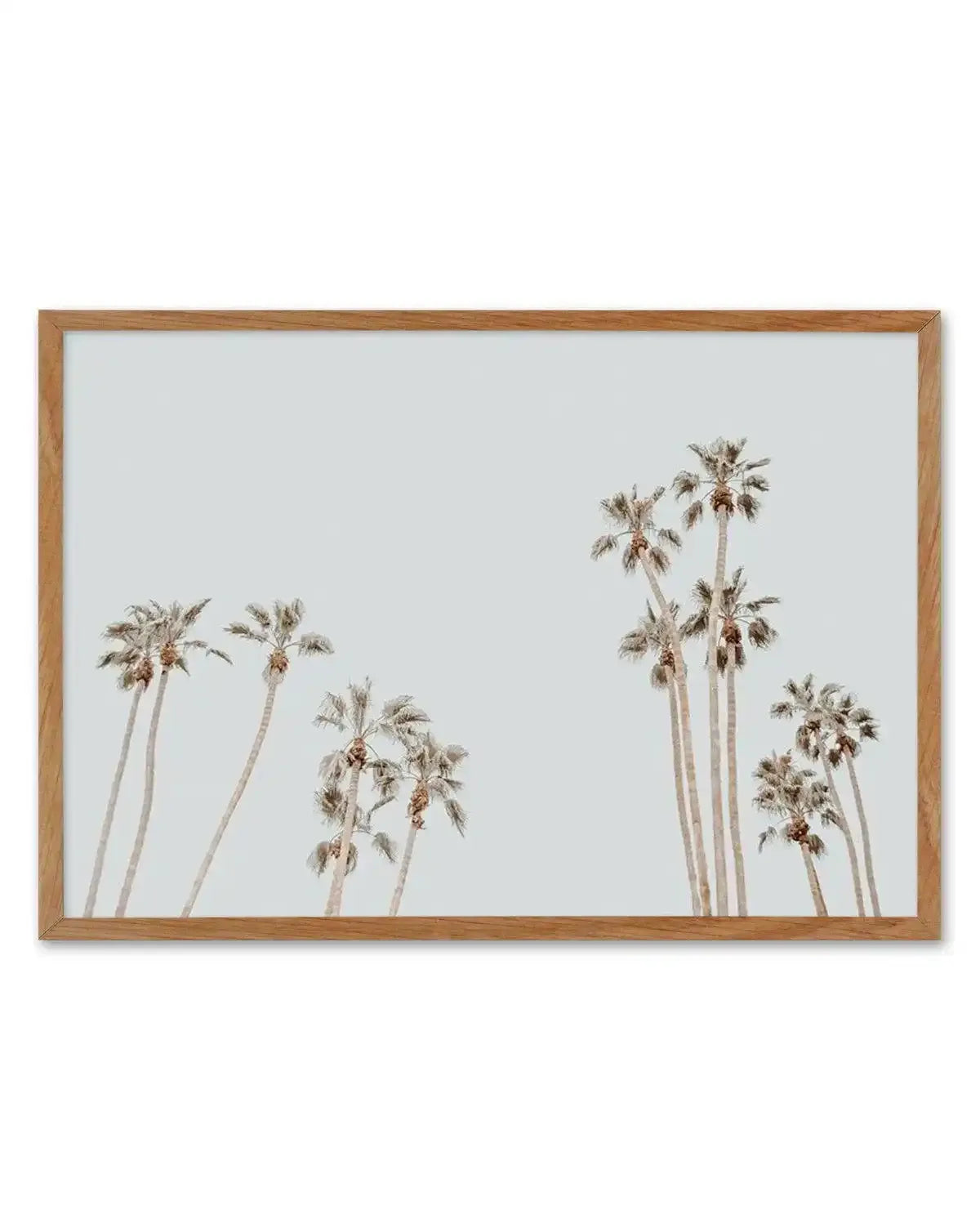 Palmy Springs | LS Art Print-PRINT-Olive et Oriel-Olive et Oriel-50x70 cm | 19.6" x 27.5"-Walnut-With White Border-Buy-Australian-Art-Prints-Online-with-Olive-et-Oriel-Your-Artwork-Specialists-Austrailia-Decorate-With-Coastal-Photo-Wall-Art-Prints-From-Our-Beach-House-Artwork-Collection-Fine-Poster-and-Framed-Artwork