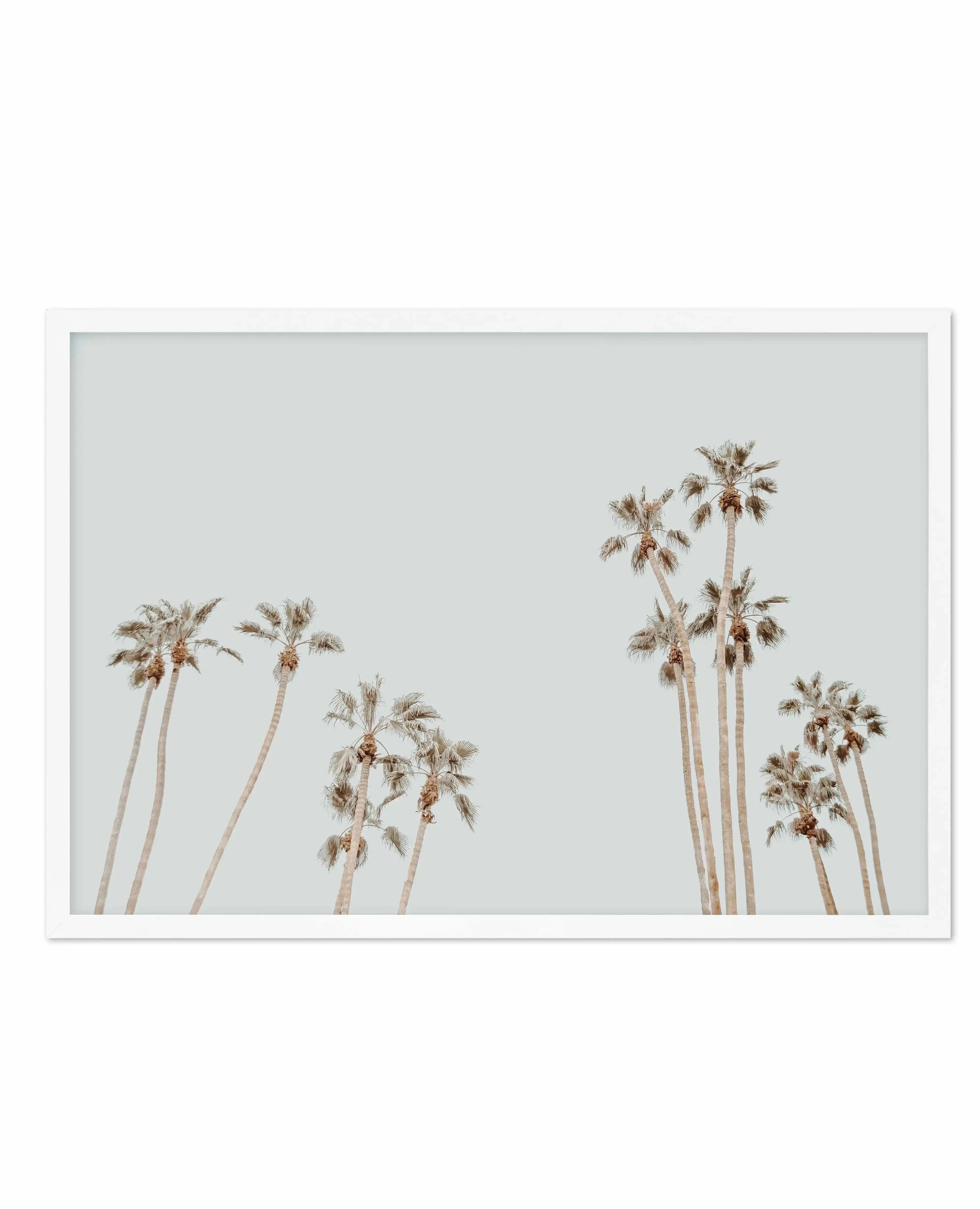 Palmy Springs | LS Art Print-PRINT-Olive et Oriel-Olive et Oriel-A4 | 8.3" x 11.7" | 21 x 29.7cm-White-With White Border-Buy-Australian-Art-Prints-Online-with-Olive-et-Oriel-Your-Artwork-Specialists-Austrailia-Decorate-With-Coastal-Photo-Wall-Art-Prints-From-Our-Beach-House-Artwork-Collection-Fine-Poster-and-Framed-Artwork