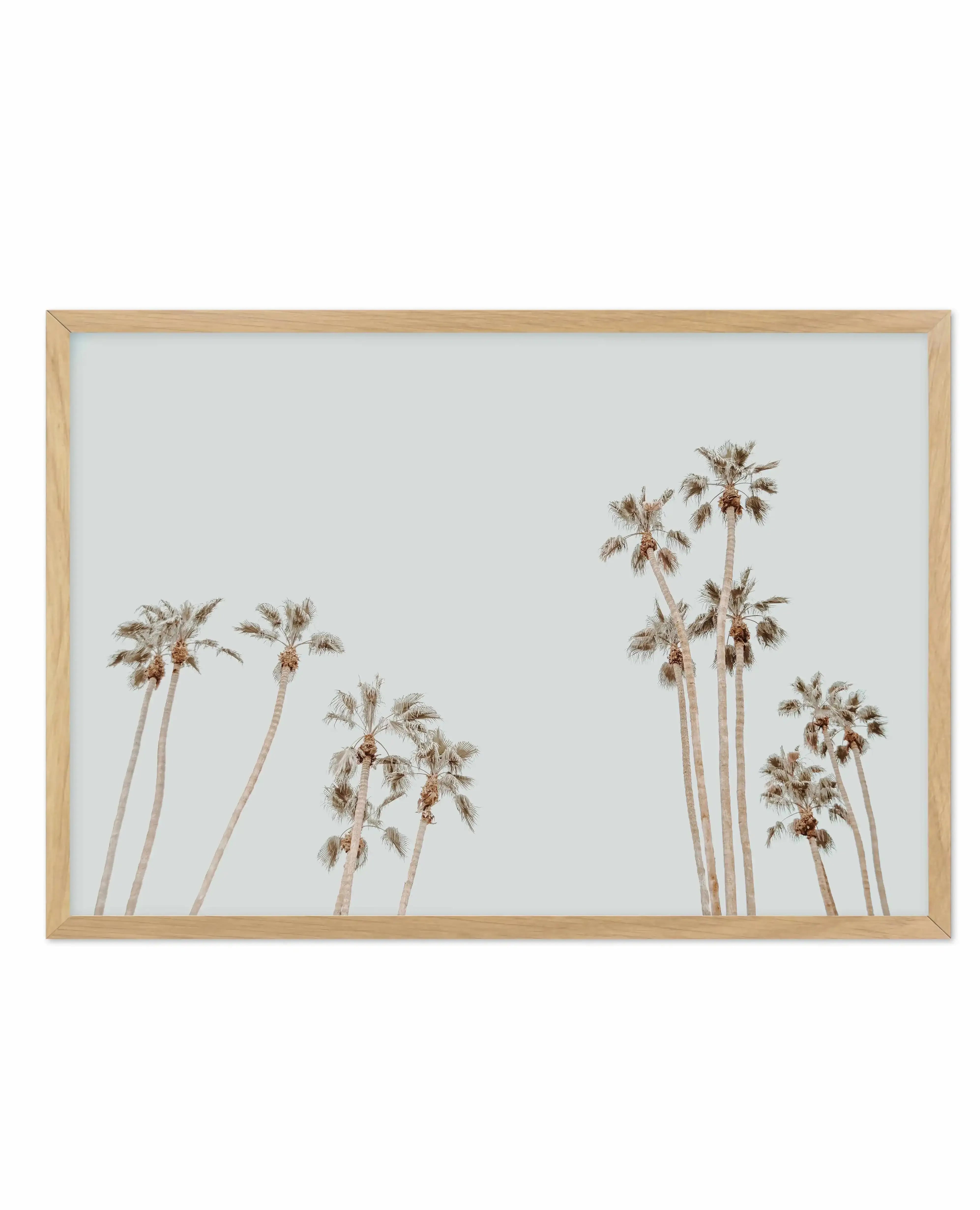 Palmy Springs | LS Art Print-PRINT-Olive et Oriel-Olive et Oriel-A4 | 8.3" x 11.7" | 21 x 29.7cm-Oak-With White Border-Buy-Australian-Art-Prints-Online-with-Olive-et-Oriel-Your-Artwork-Specialists-Austrailia-Decorate-With-Coastal-Photo-Wall-Art-Prints-From-Our-Beach-House-Artwork-Collection-Fine-Poster-and-Framed-Artwork