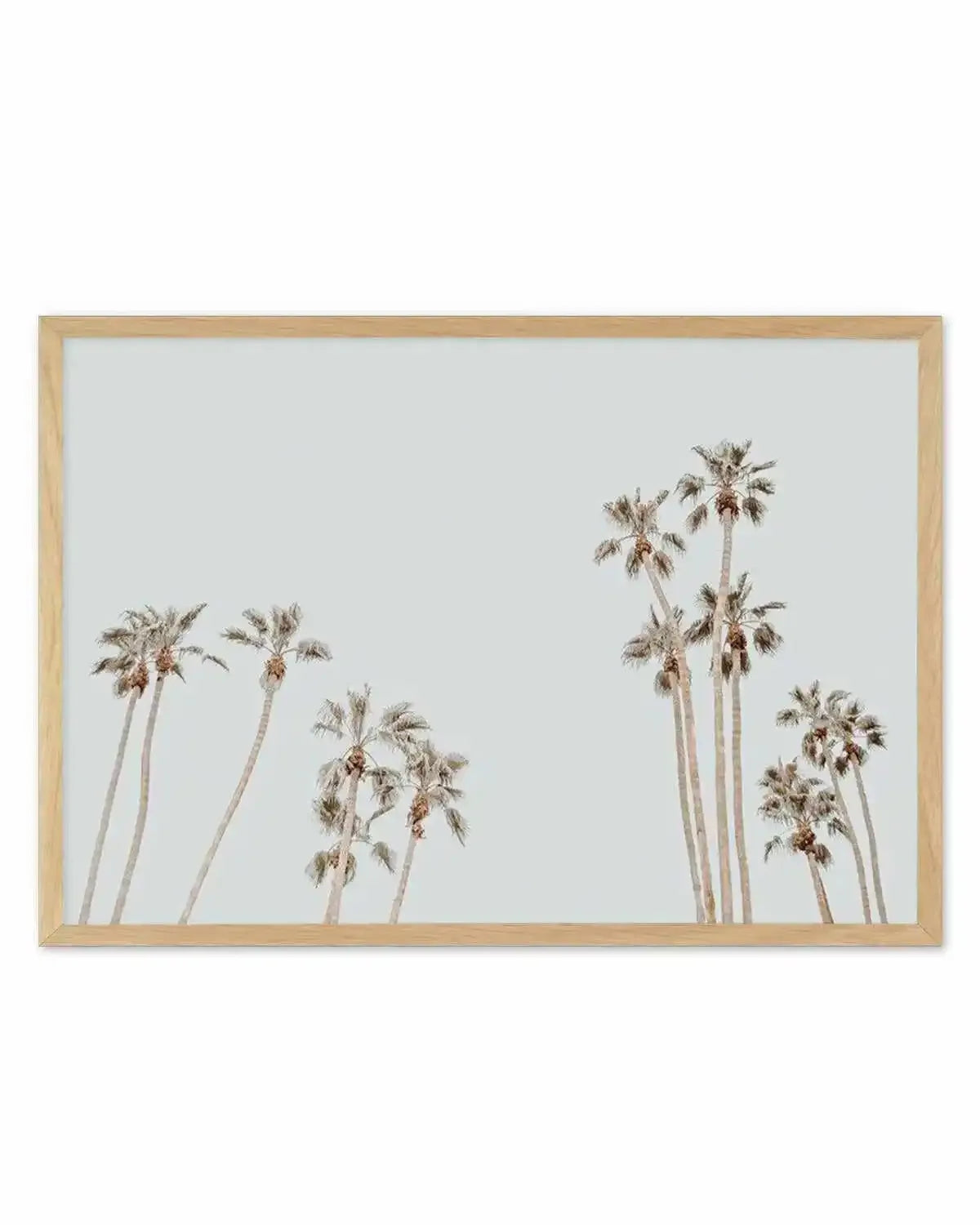 Palmy Springs | LS Art Print from Olive et Oriel where you can shop wallpaper and artworks online