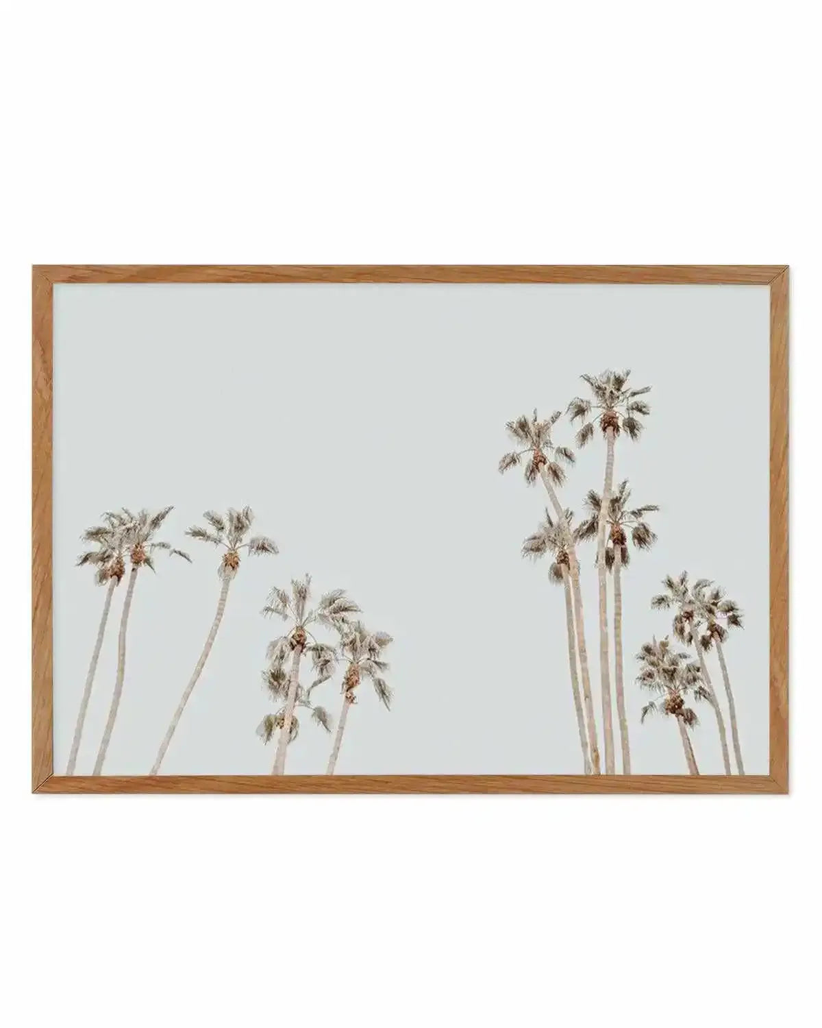 Palmy Springs | LS Art Print from Olive et Oriel where you can shop wallpaper and artworks online