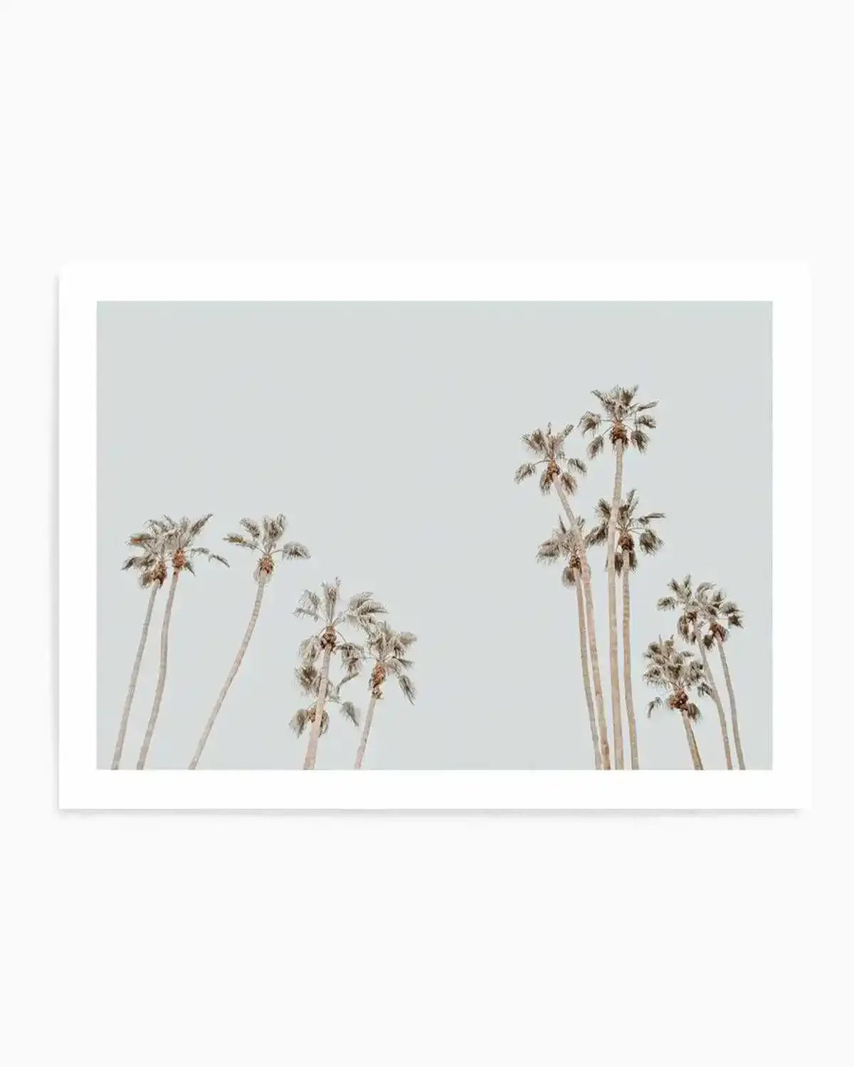 Palmy Springs | LS Art Print from Olive et Oriel where you can shop wallpaper and artworks online