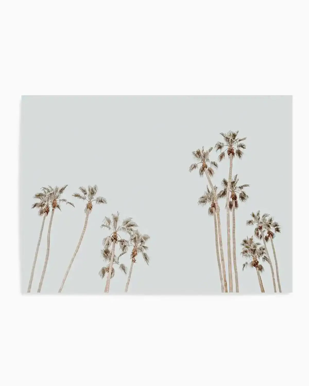 Palmy Springs | LS Art Print from Olive et Oriel where you can shop wallpaper and artworks online