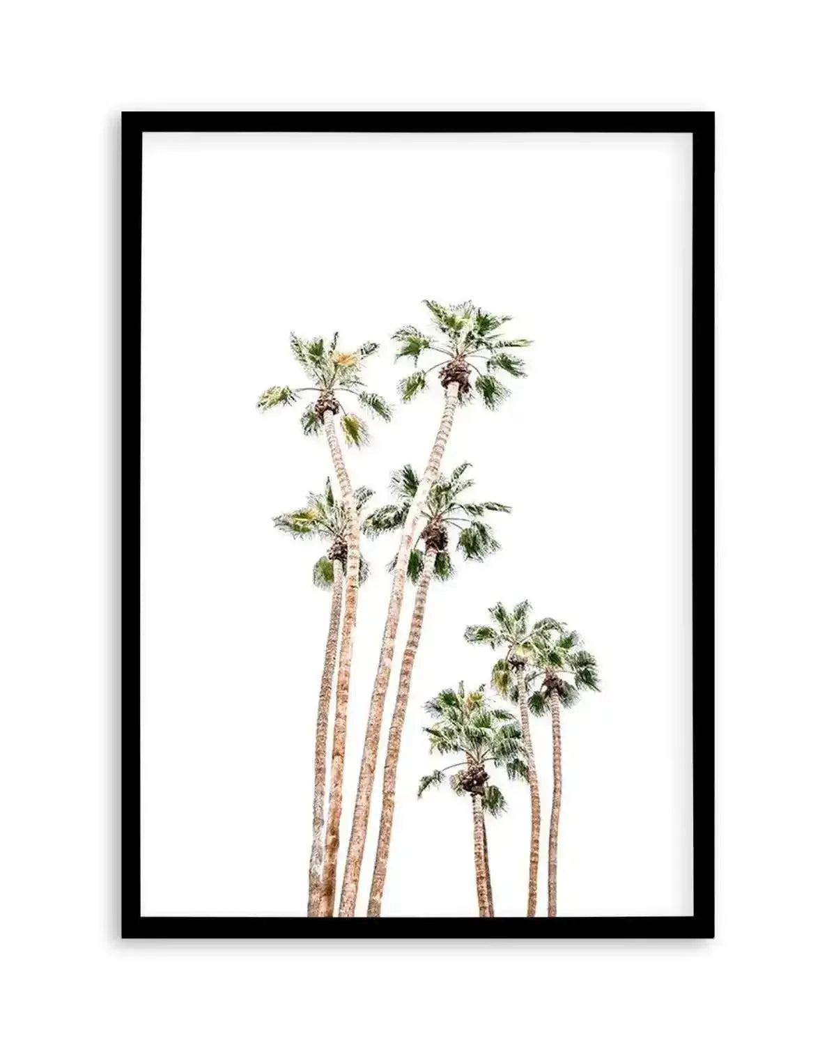 Palmy Springs | PT Art Print from Olive et Oriel where you can shop wallpaper and artworks online