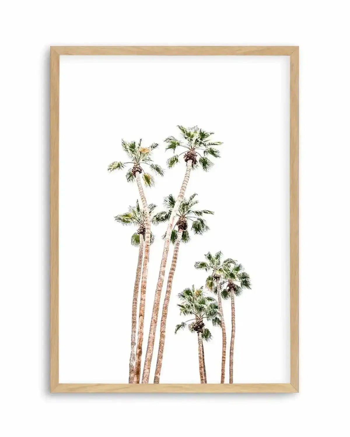 Palmy Springs | PT Art Print from Olive et Oriel where you can shop wallpaper and artworks online