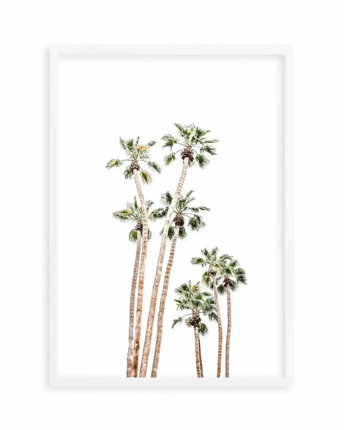 Palmy Springs | PT Art Print from Olive et Oriel where you can shop wallpaper and artworks online