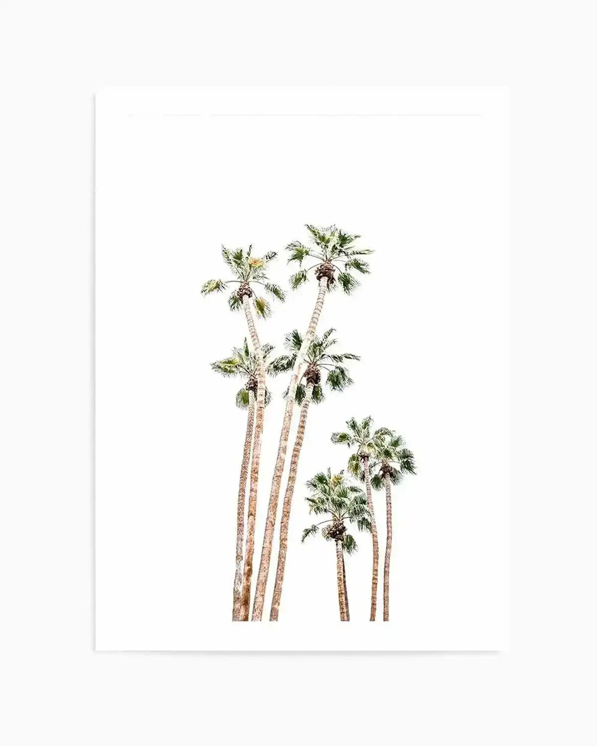 Palmy Springs | PT Art Print from Olive et Oriel where you can shop wallpaper and artworks online