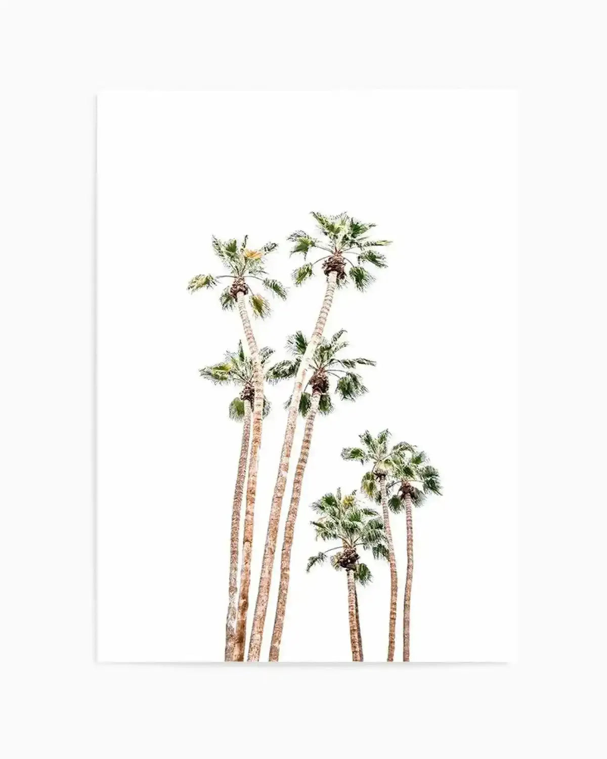 Palmy Springs | PT Art Print from Olive et Oriel where you can shop wallpaper and artworks online