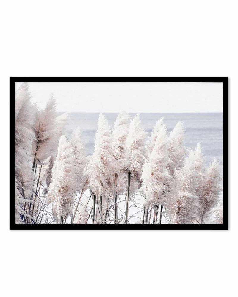 Pampas By The Sea Art Print