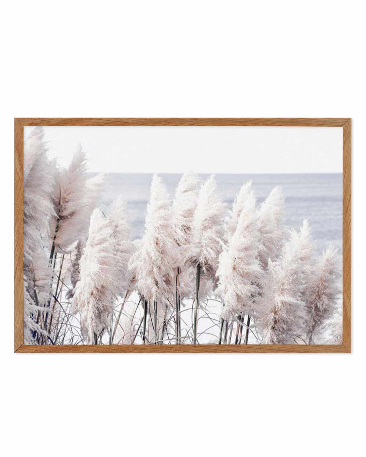 Pampas By The Sea Art Print