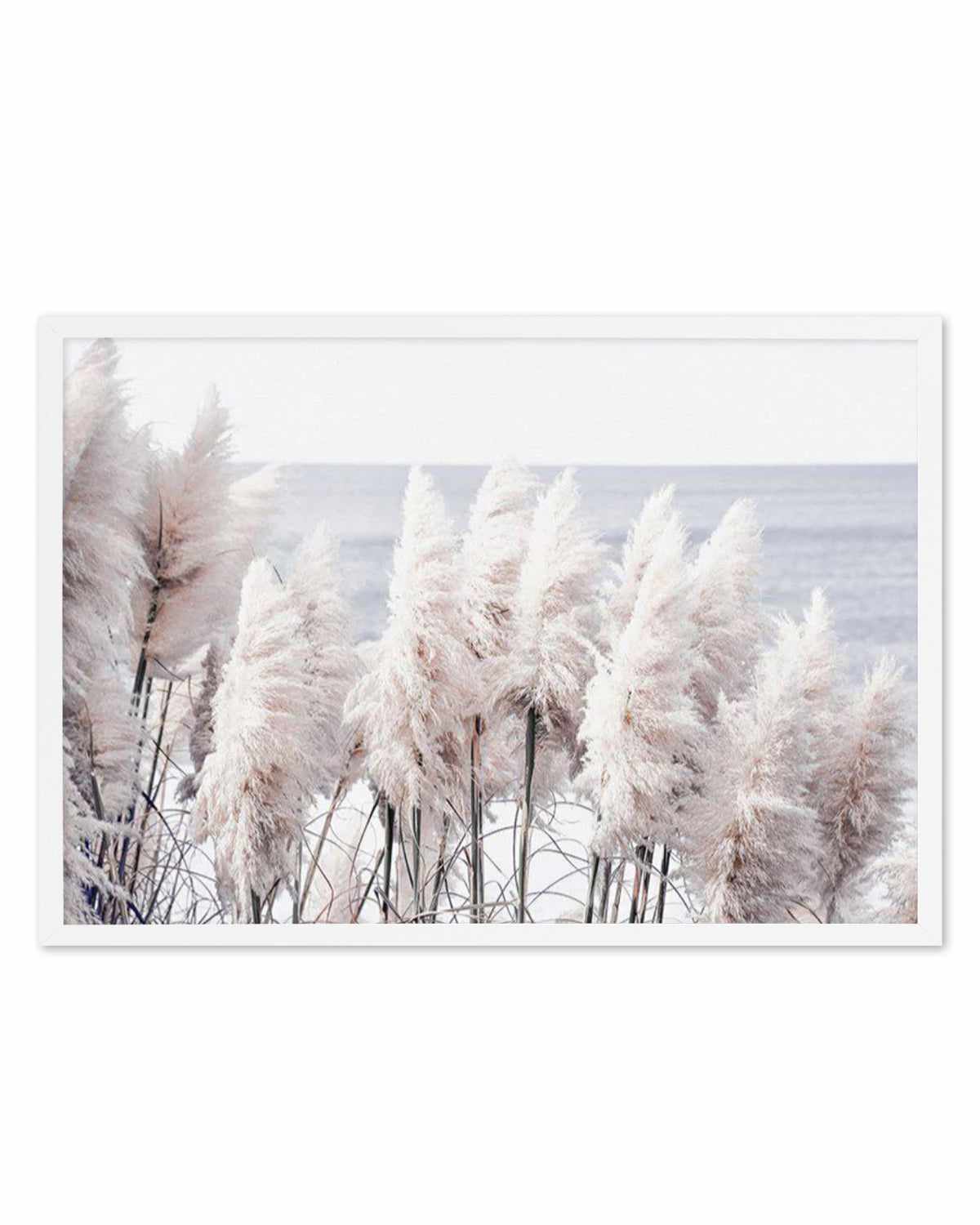 Pampas By The Sea Art Print