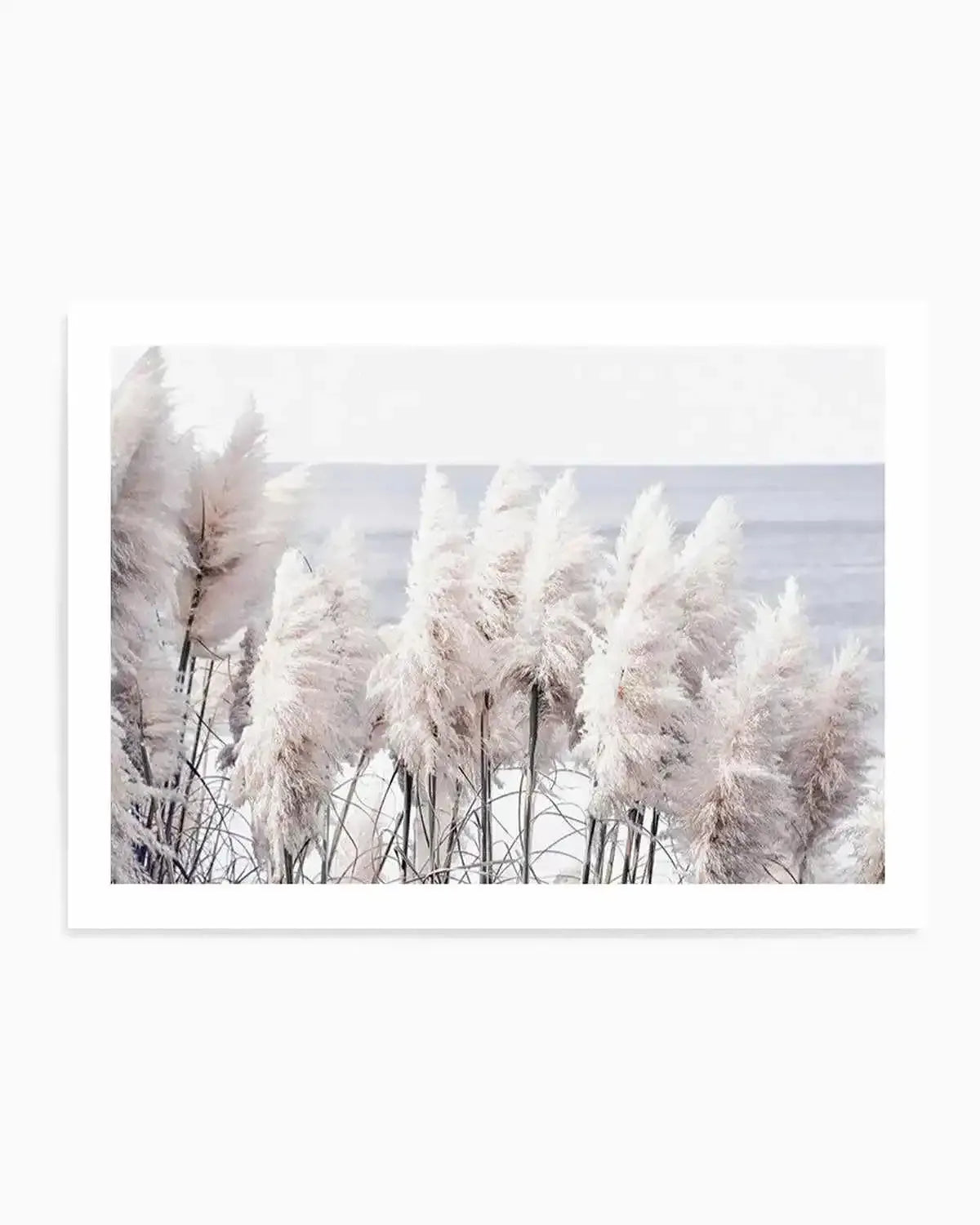 Pampas By The Sea Art Print from Olive et Oriel where you can shop wallpaper and artworks online