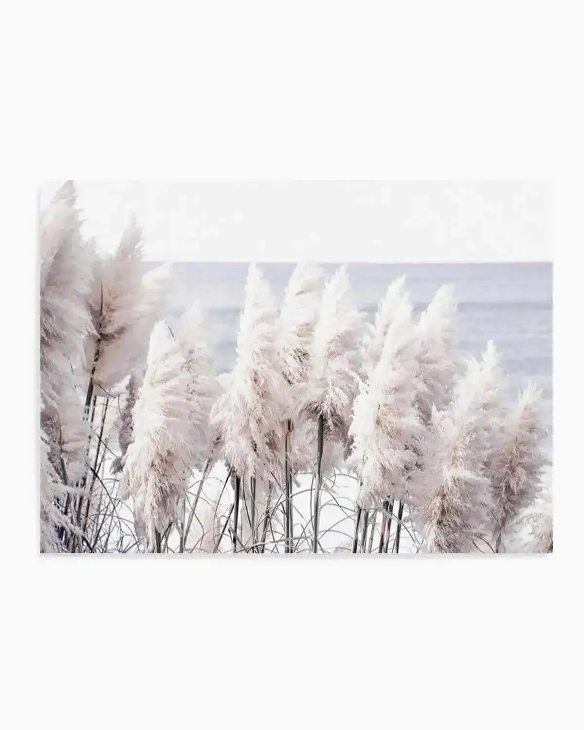Pampas By The Sea Art Print from Olive et Oriel where you can shop wallpaper and artworks online