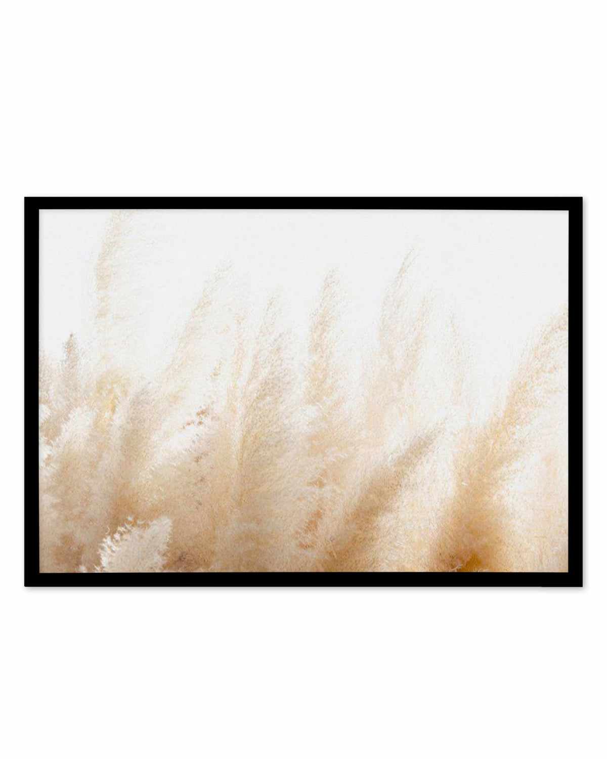 Pampas D'or Art Print