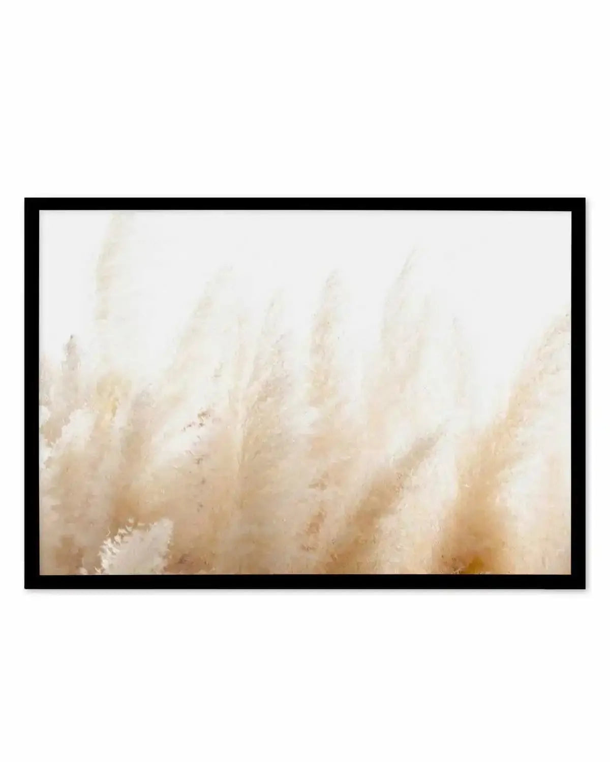 Pampas D'or Art Print from Olive et Oriel where you can shop wallpaper and artworks online