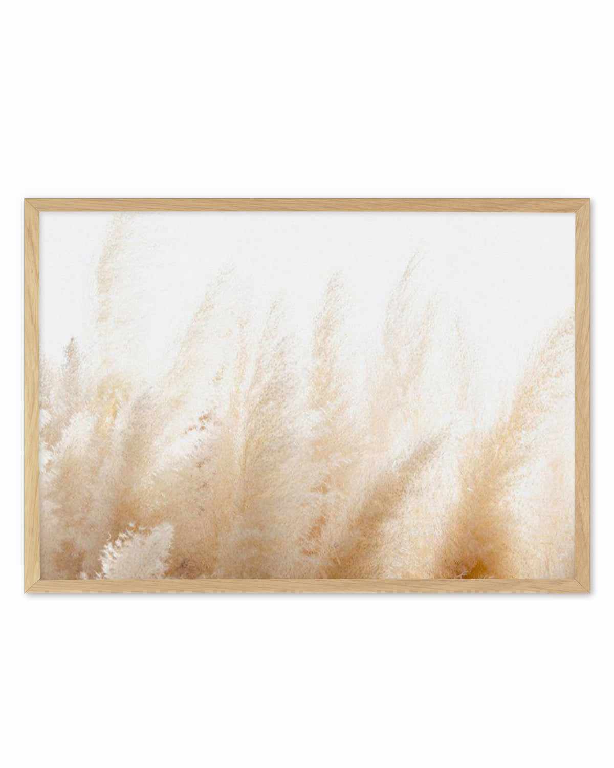 Pampas D'or Art Print