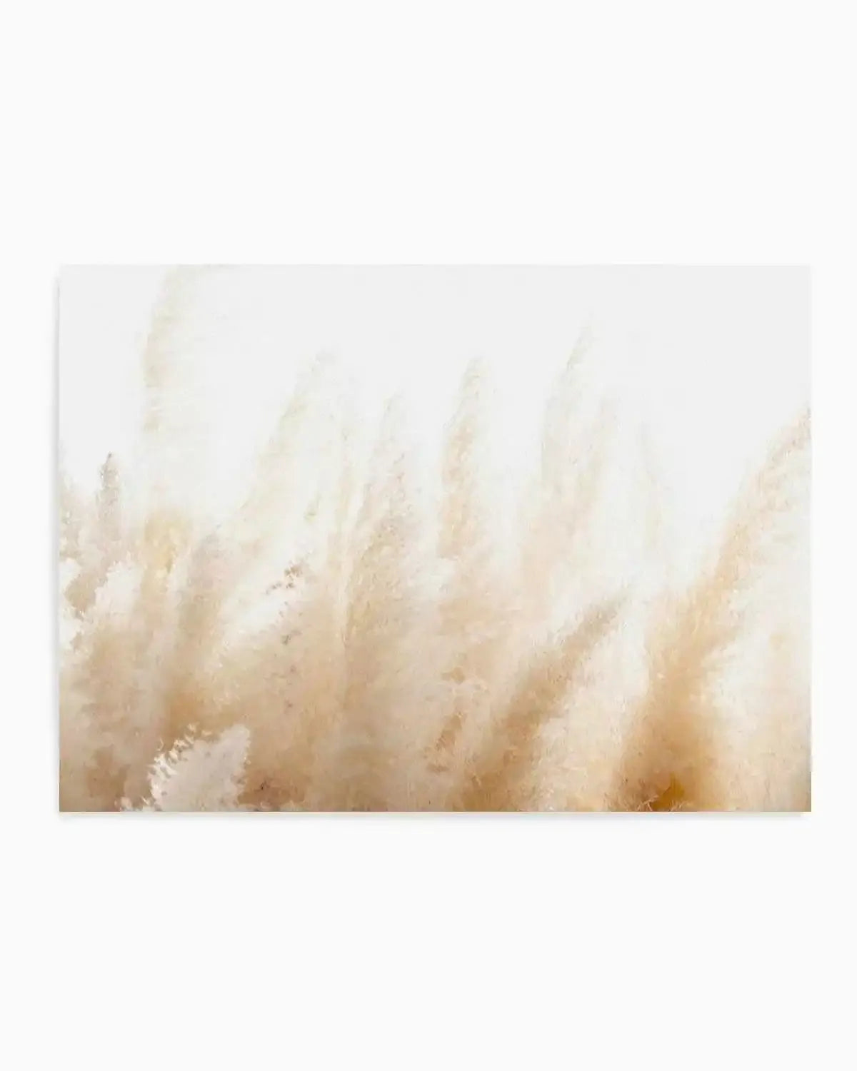 Pampas D'or Art Print from Olive et Oriel where you can shop wallpaper and artworks online