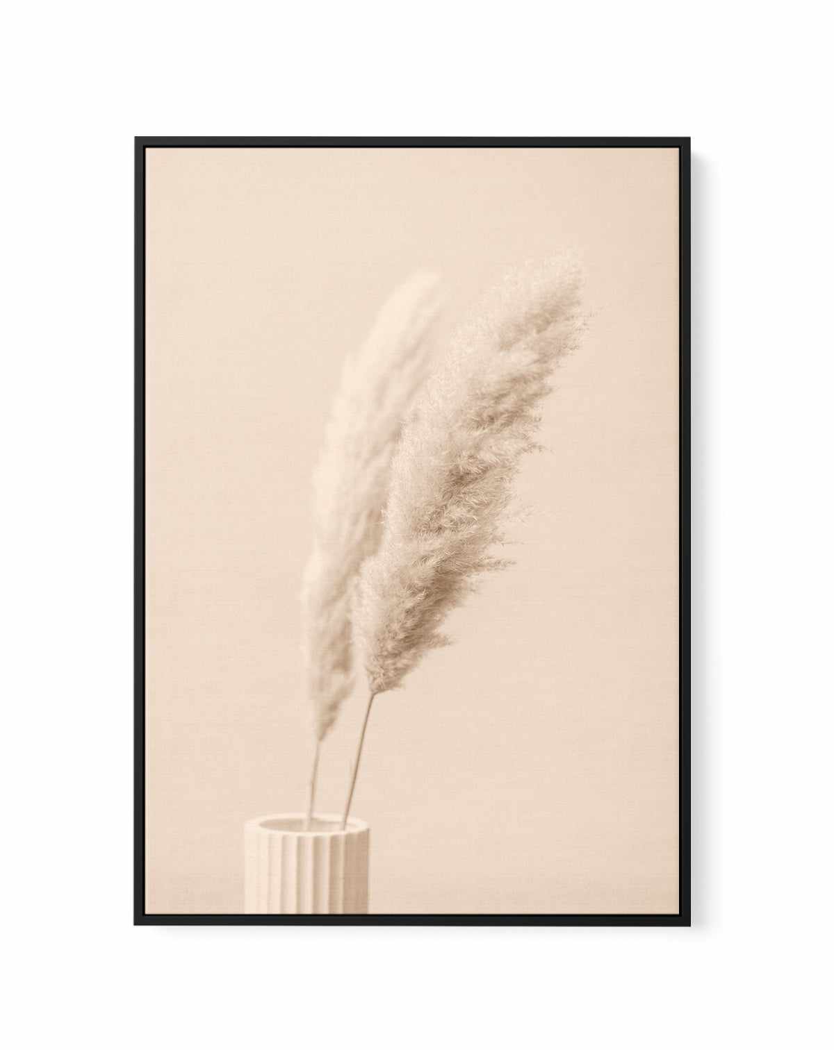 Pampas Grass Begie XIII By Studio III | Framed Canvas Art Print