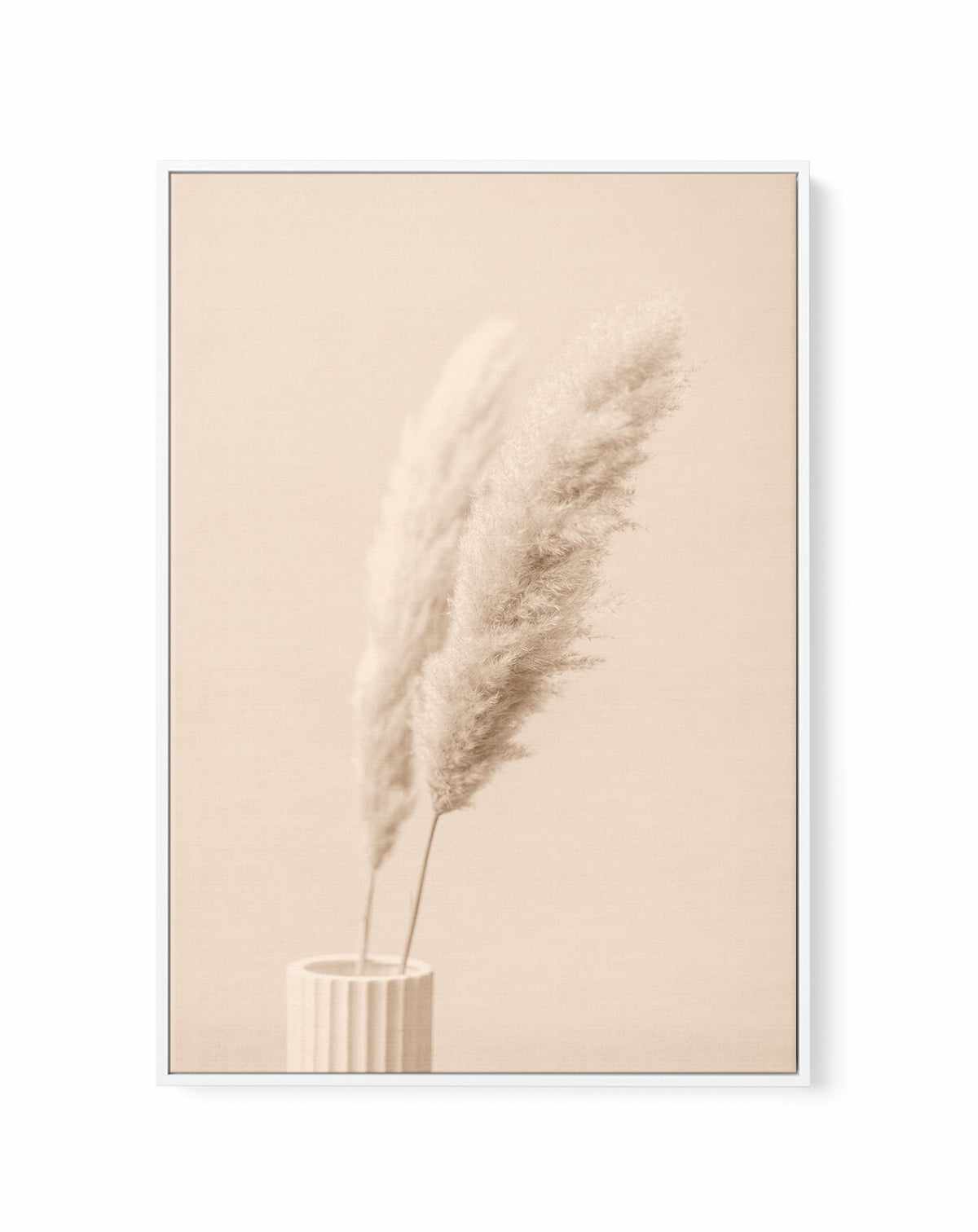 Pampas Grass Begie XIII By Studio III | Framed Canvas Art Print