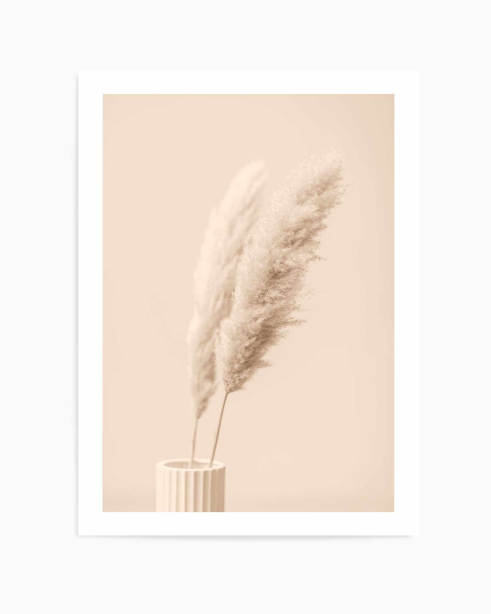 Pampas Grass Begie XIII By Studio III | Art Print from Olive et Oriel where you can shop wallpaper and artworks online