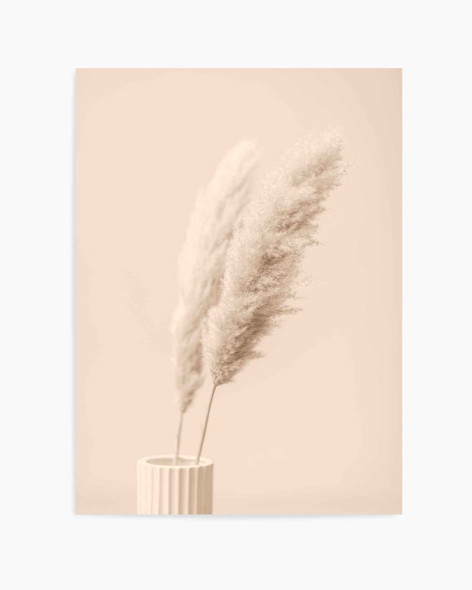 Pampas Grass Begie XIII By Studio III | Art Print from Olive et Oriel where you can shop wallpaper and artworks online