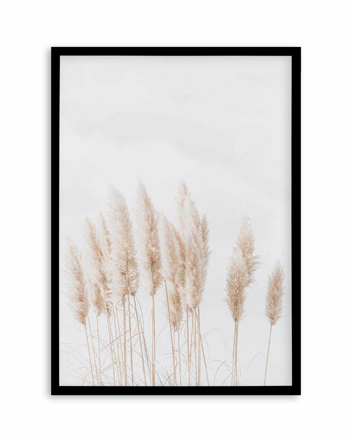 Pampas La Lumiere Art Print