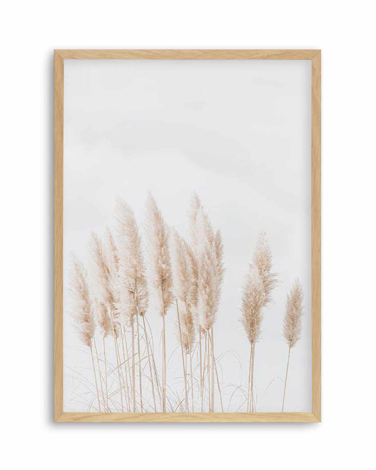 Pampas La Lumiere Art Print