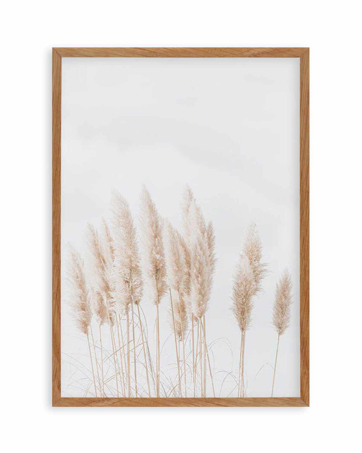 Pampas La Lumiere Art Print