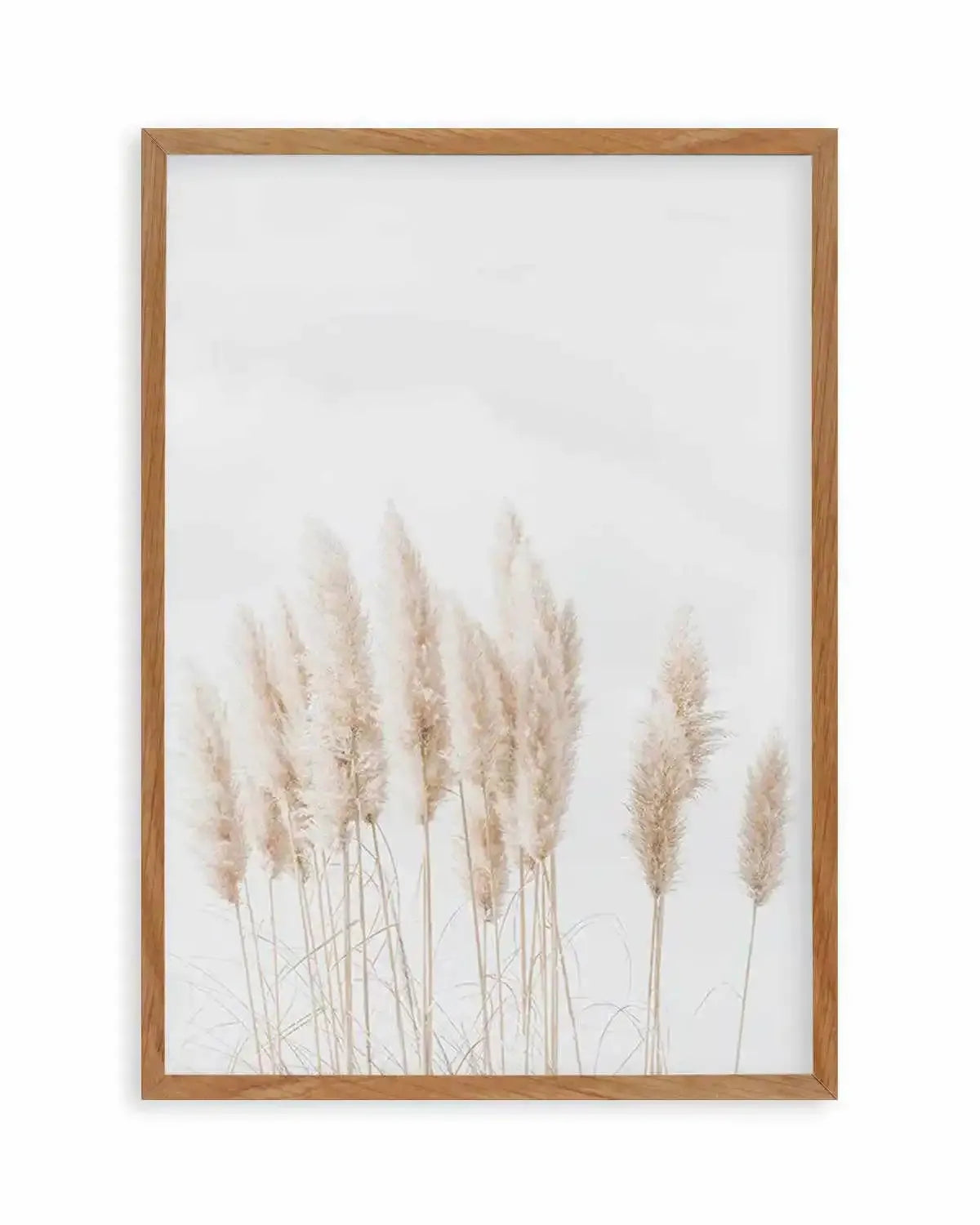 Pampas La Lumiere Art Print from Olive et Oriel where you can shop wallpaper and artworks online