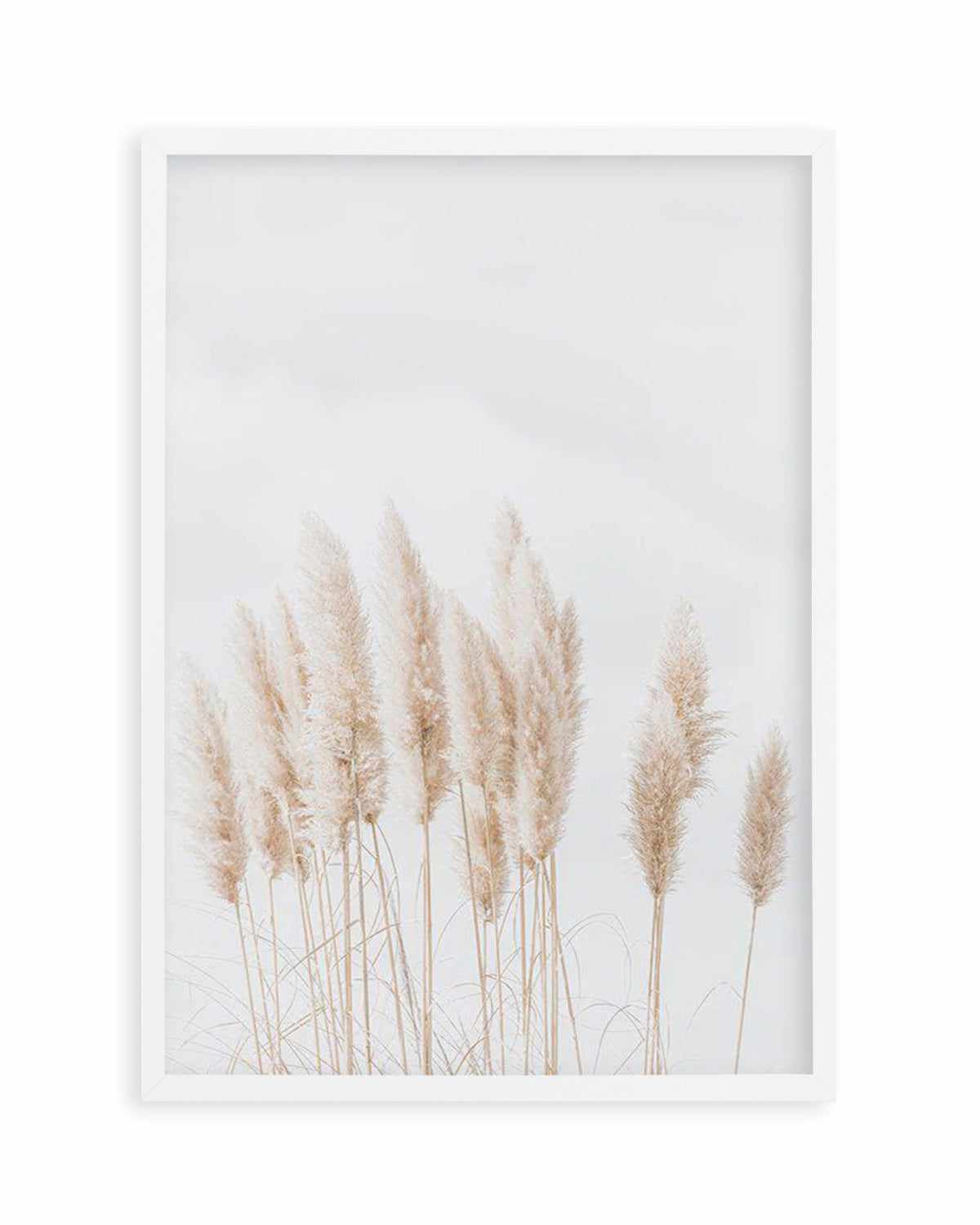 Pampas La Lumiere Art Print