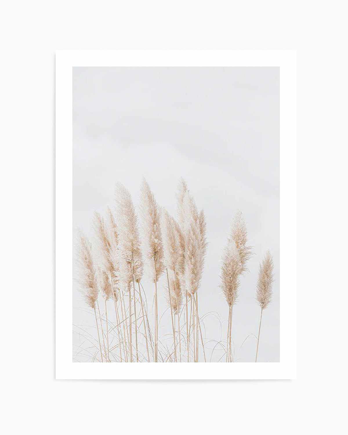 Pampas La Lumiere Art Print