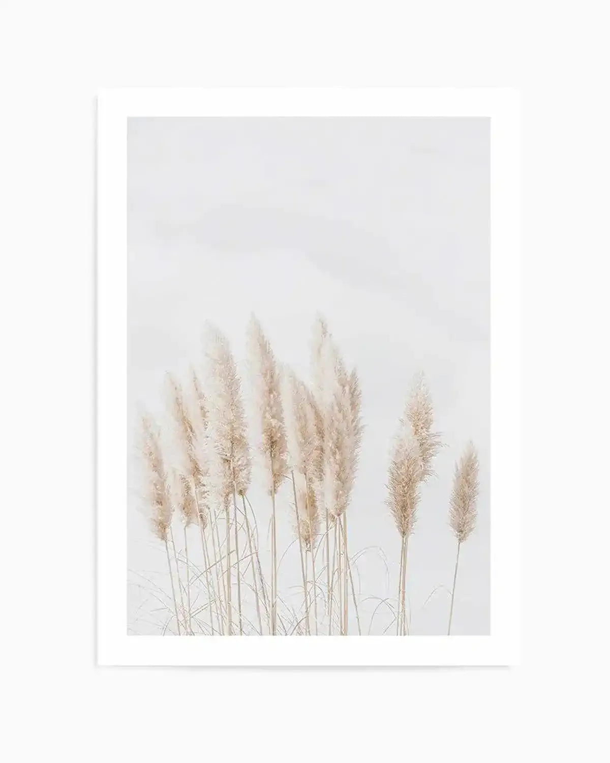 Pampas La Lumiere Art Print from Olive et Oriel where you can shop wallpaper and artworks online