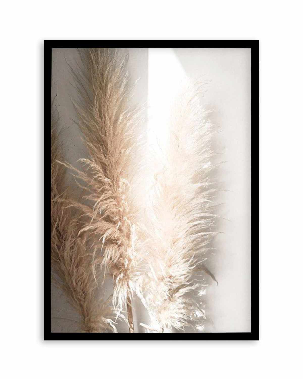 Pampas Ombres I Art Print