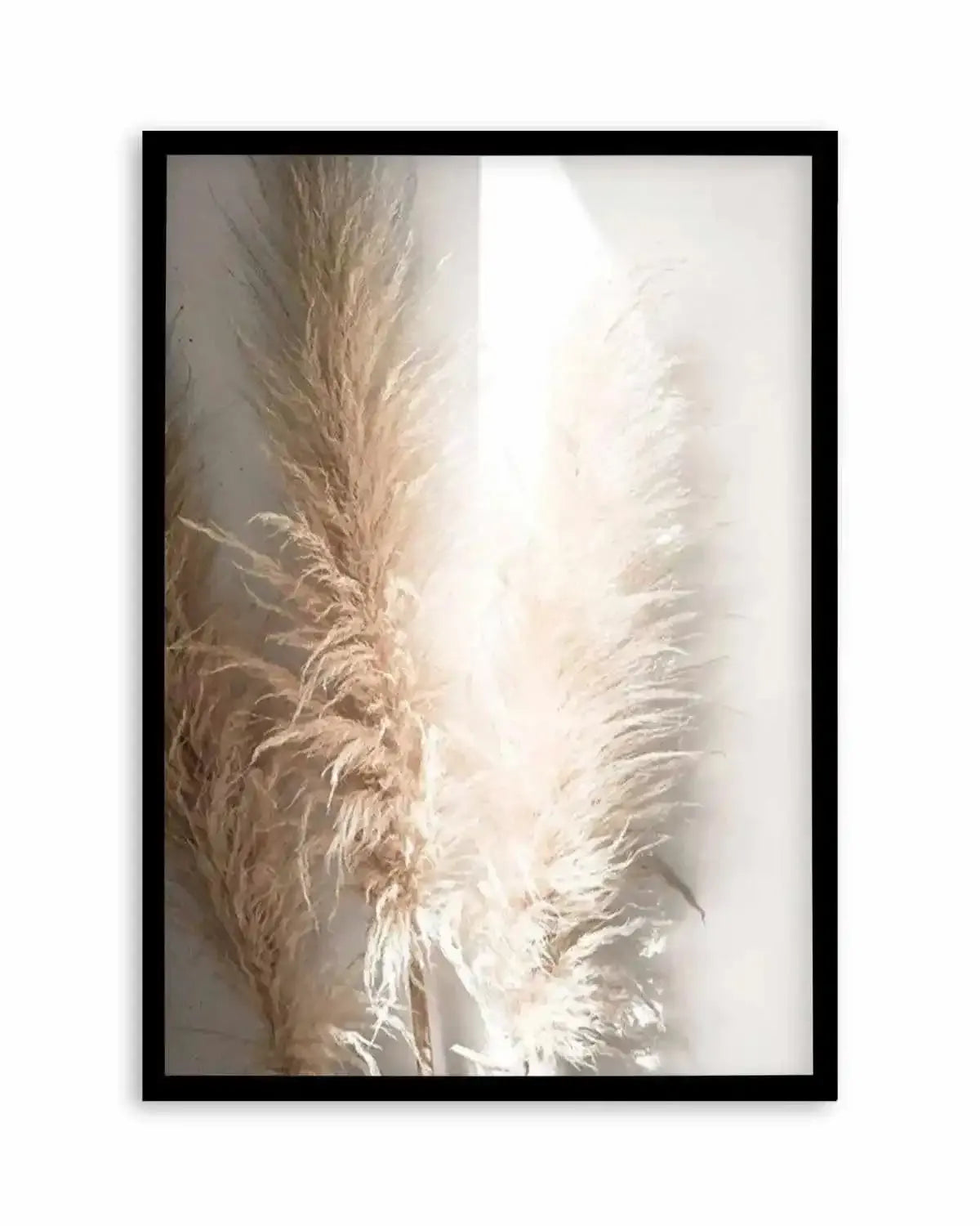 Pampas Ombres I Art Print from Olive et Oriel where you can shop wallpaper and artworks online